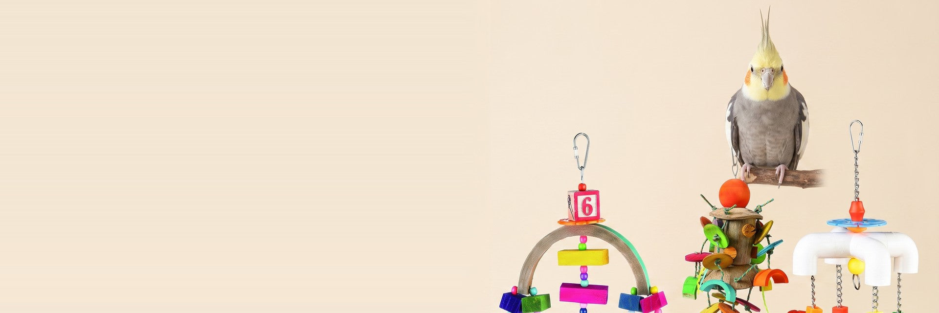 Bird Toys — Play All Day