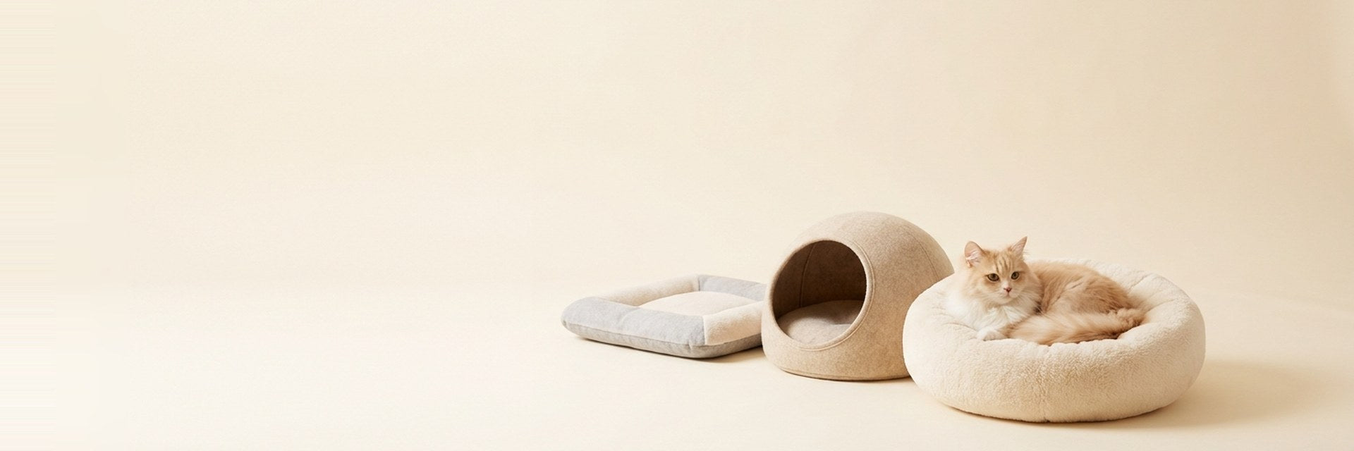 Beds & Naps — Cosy Dreams