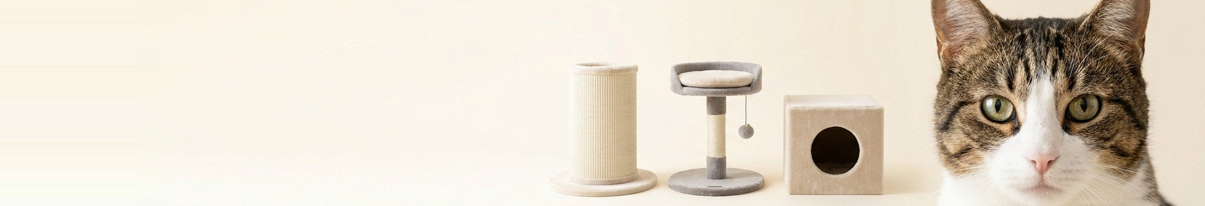 Climb & Scratch — premium brands