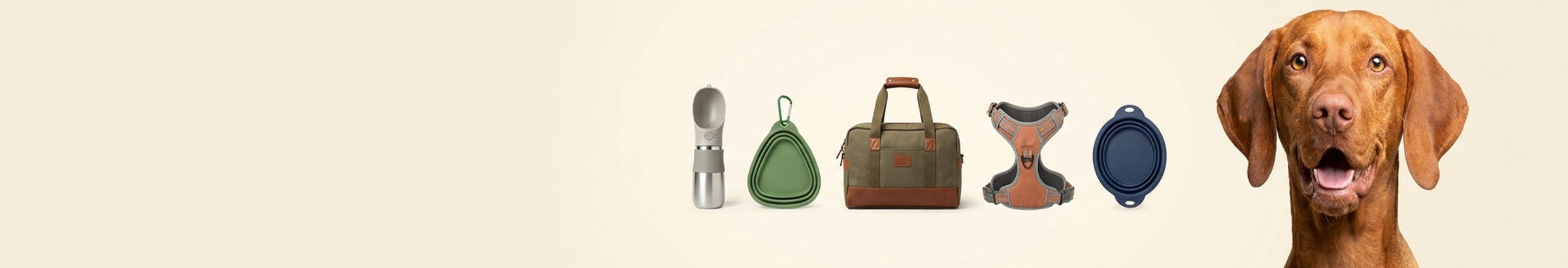Ready to Roam — premium brands