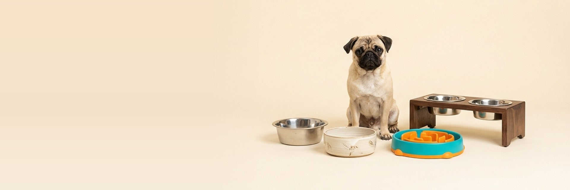 Bowls & Feeders — Mealtime Sorted