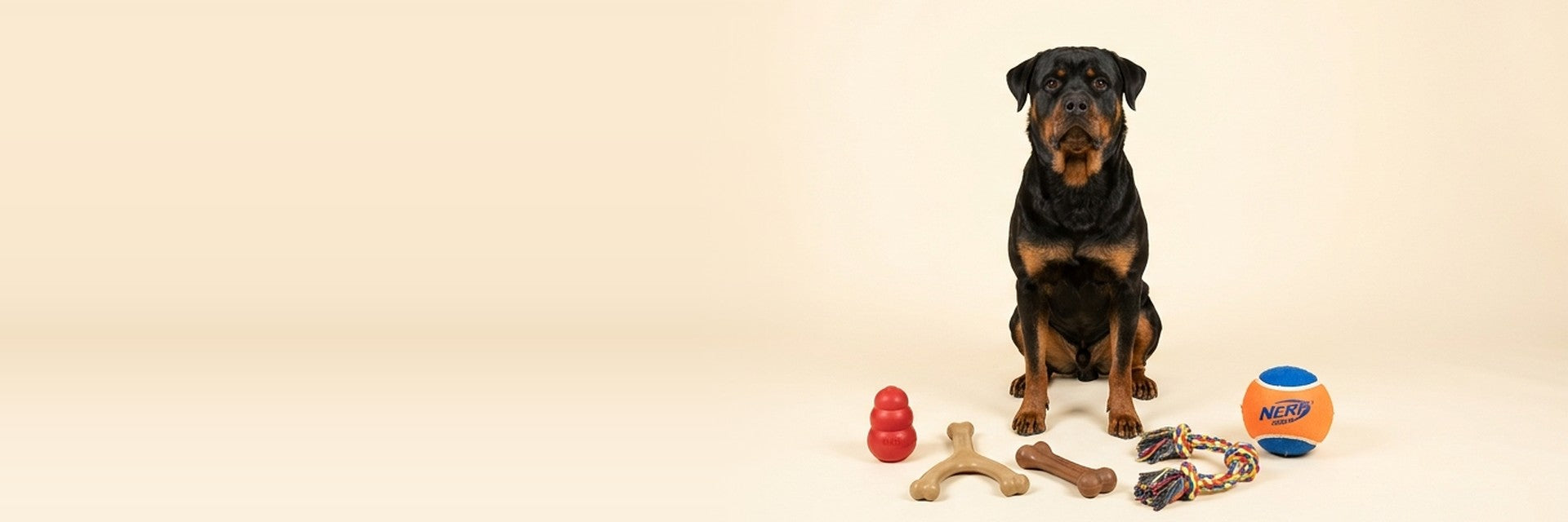 Chew & Play — Built to Last