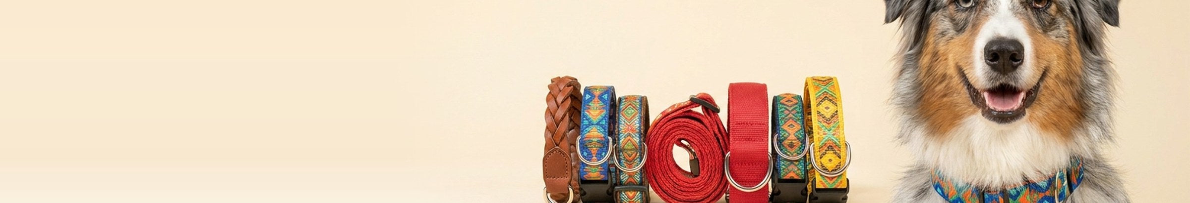 Walk in Style — premium brands