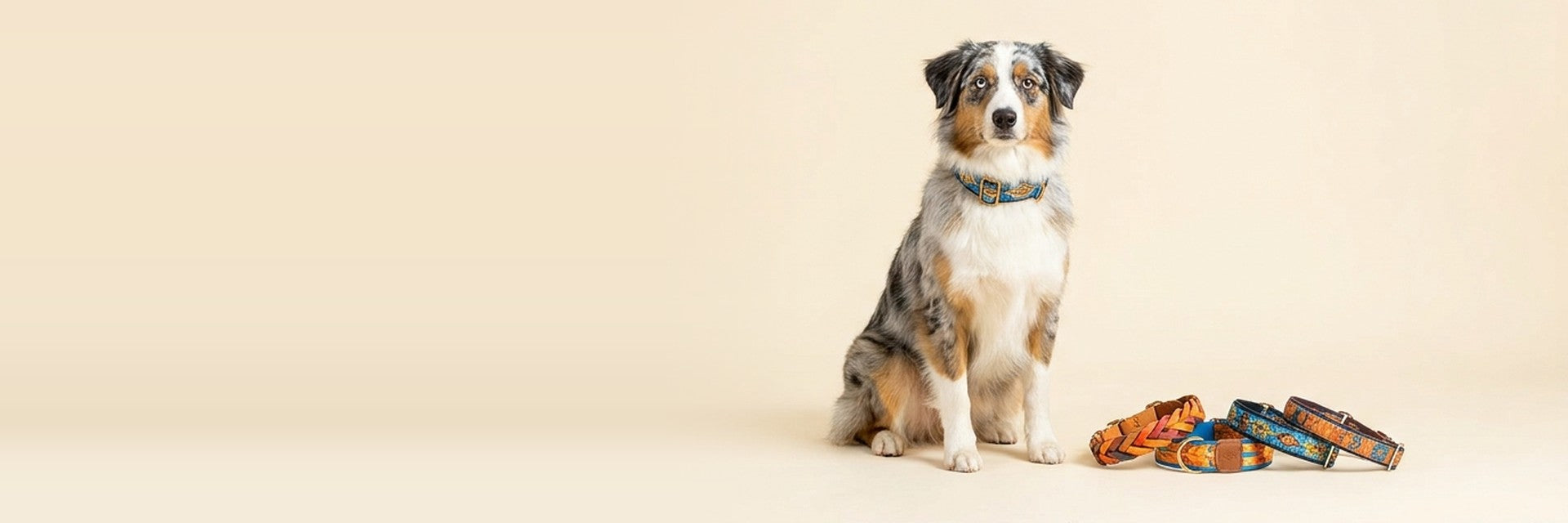 Collars & Tags — Walk in Style