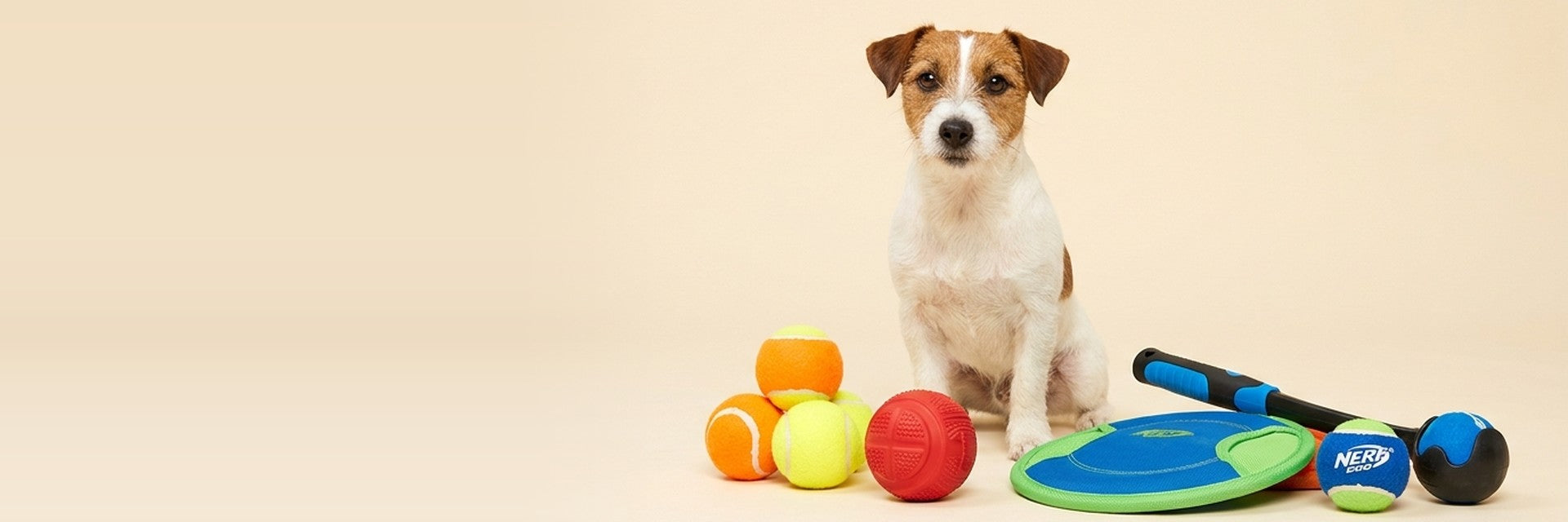 Fetch Time — Game On