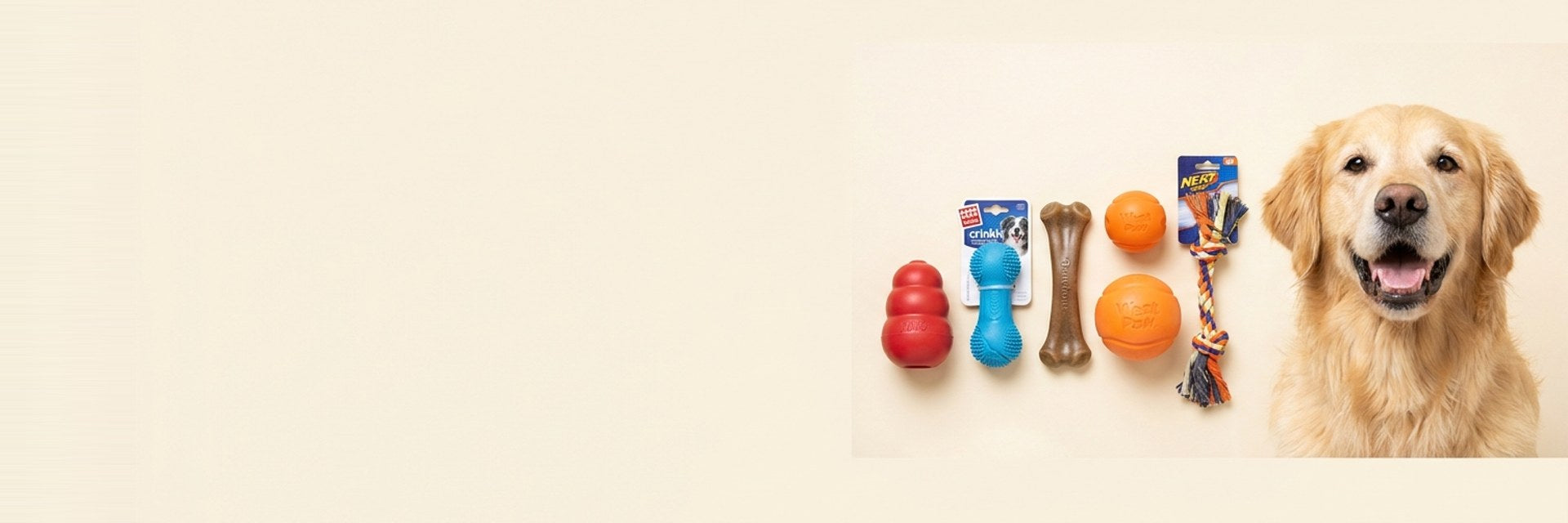 Fetch & Fun — Playtime