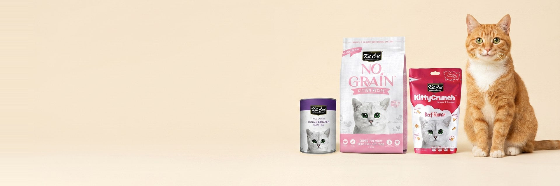 Kit Cat — Purely Feline