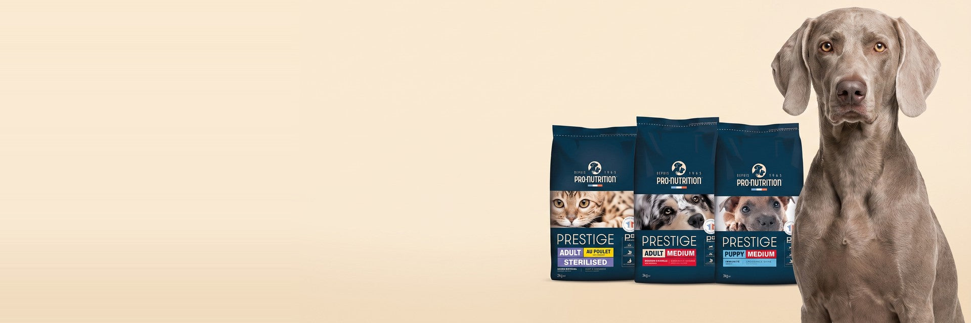 Pro-Nutrition — French Prestige