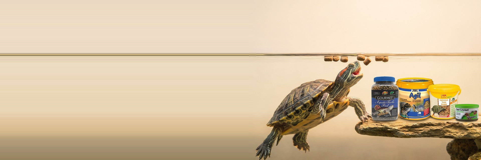 Reptile & Turtle Food — Feast Like a Reptile