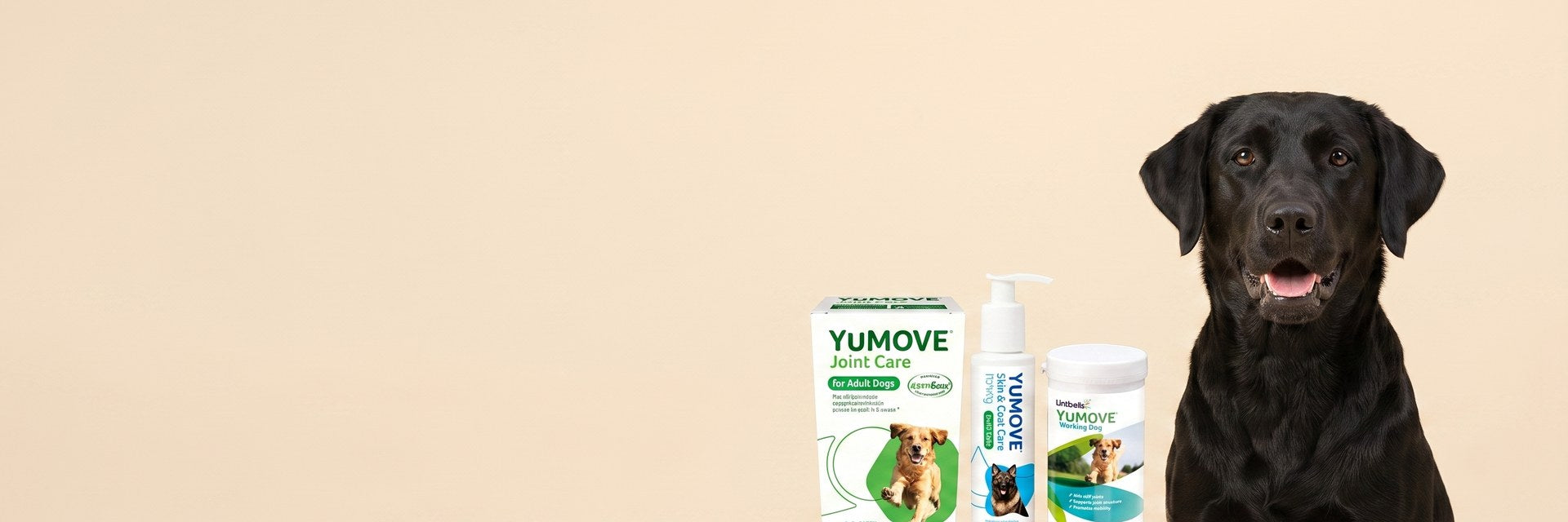 YuMOVE — Move Freely