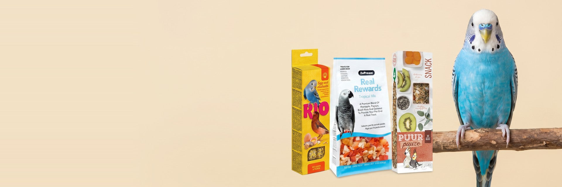 Bird Treats — Sing for Snacks