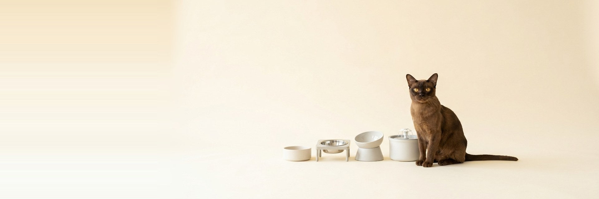 Bowls & Feeders — Dine in Style