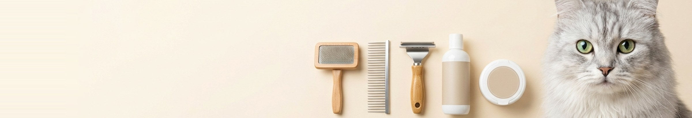 Sleek & Shiny — premium brands