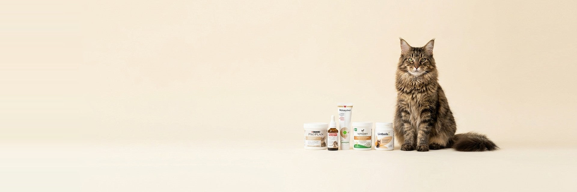 Vitamins & Supplements — Thrive Daily