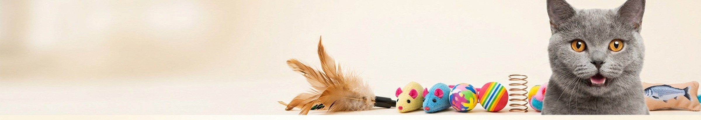 Feline Fun — premium brands
