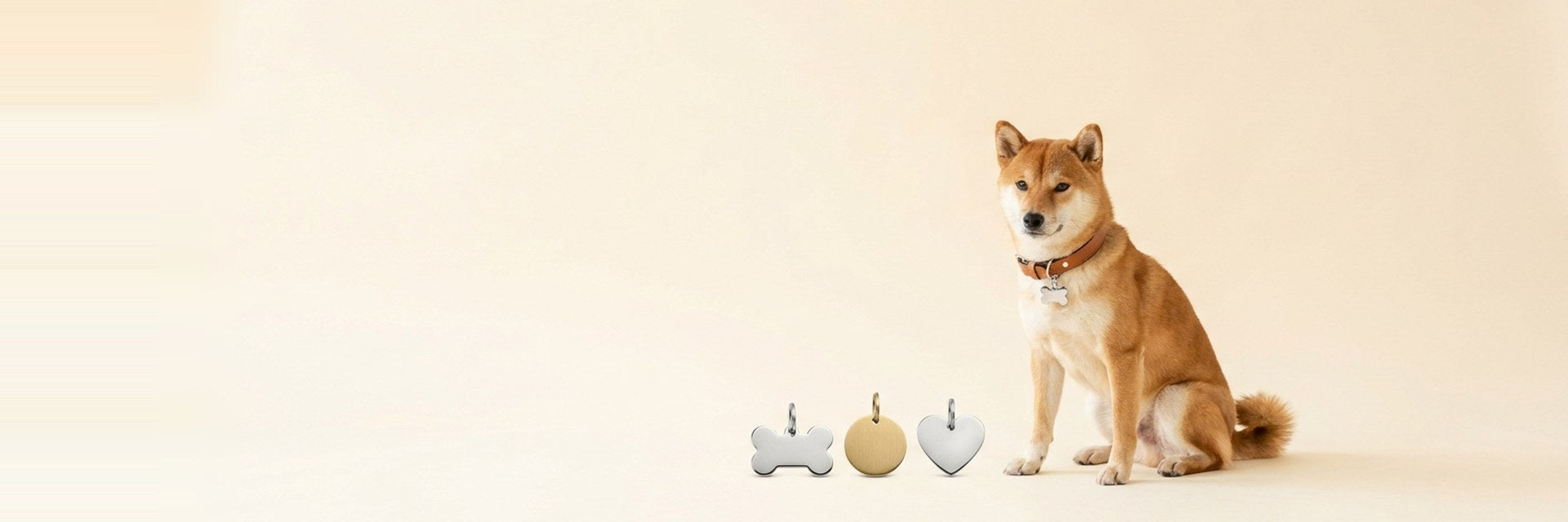 ID Tags — Stay Safe
