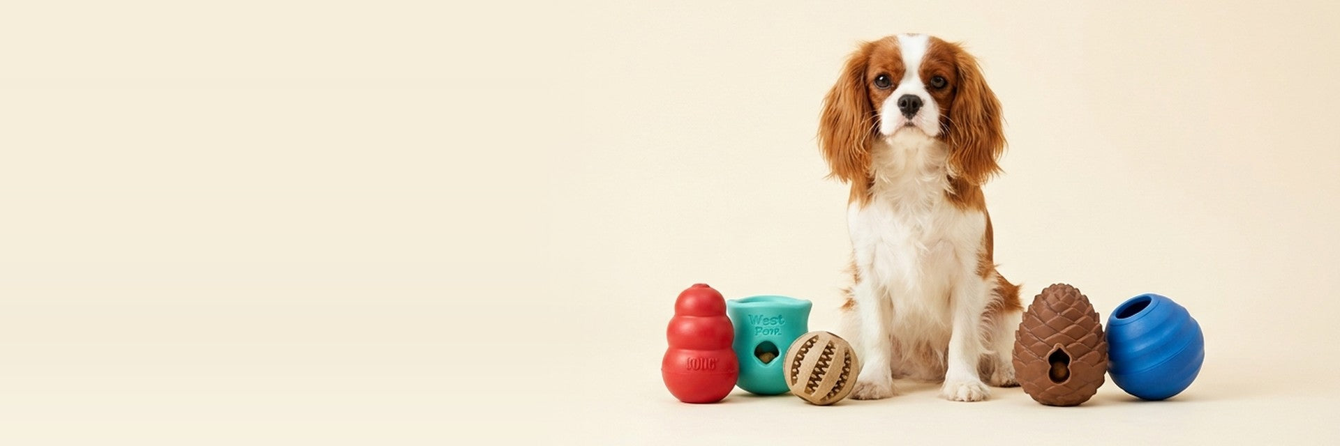 Treat Dispensers — Boredom Busters