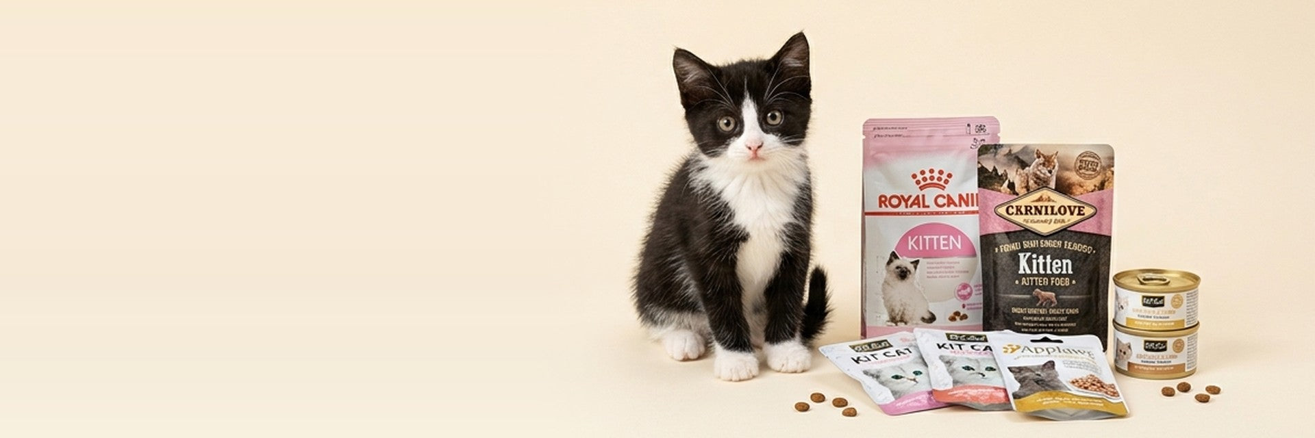 Kitten Nutrition — Little Growers