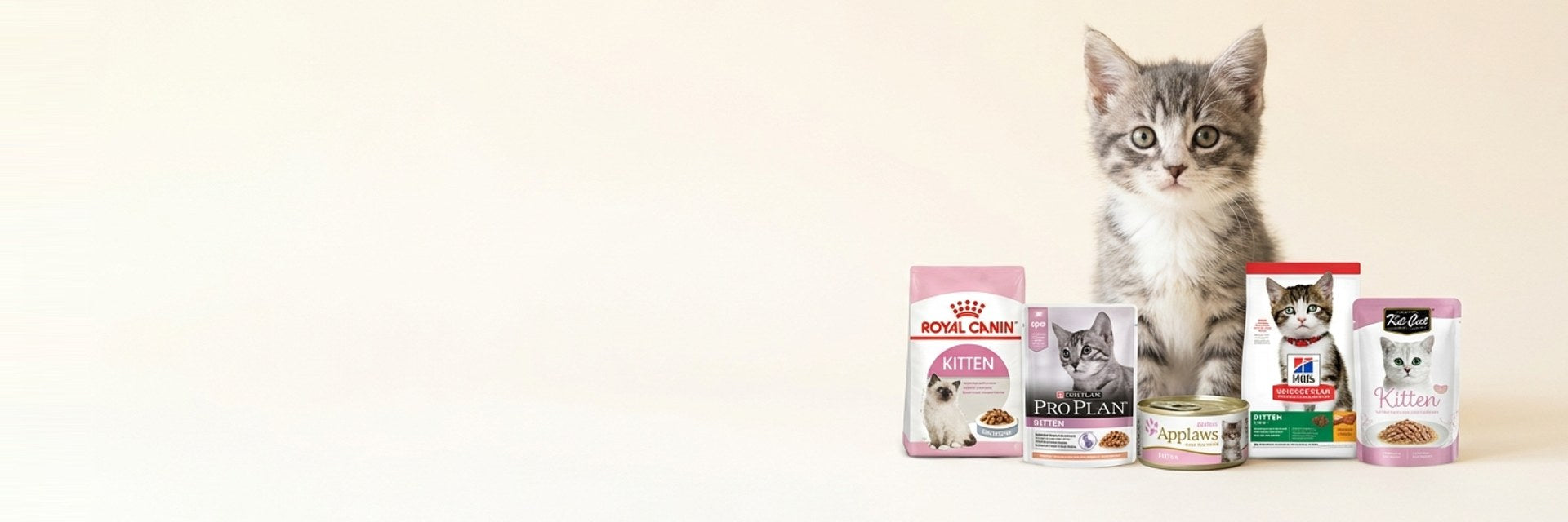 Kitten Care — Growing Strong