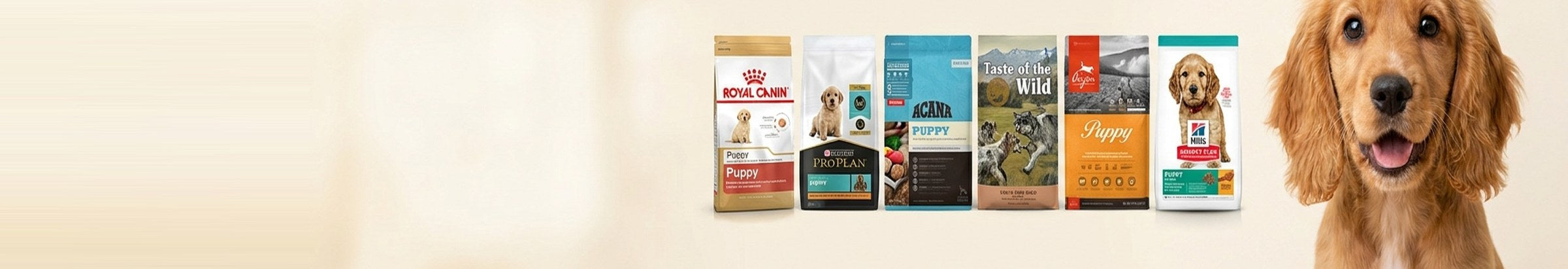 Strong Start — premium brands