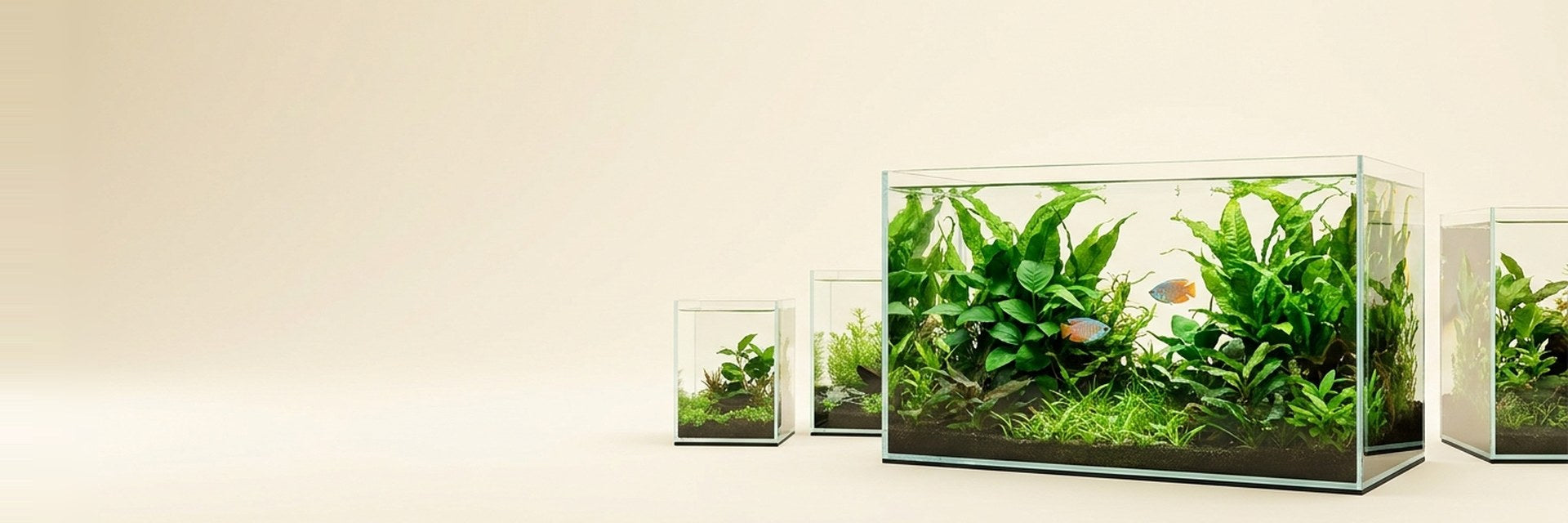 Tanks & Kits — Aquascape It