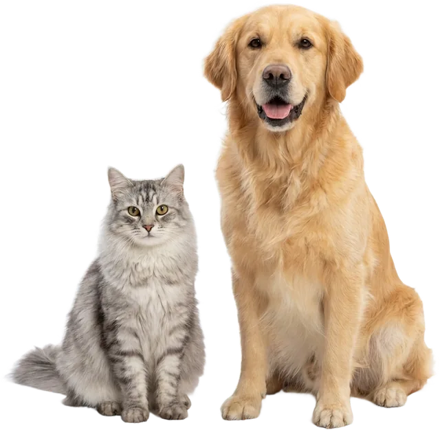 A happy dog and cat